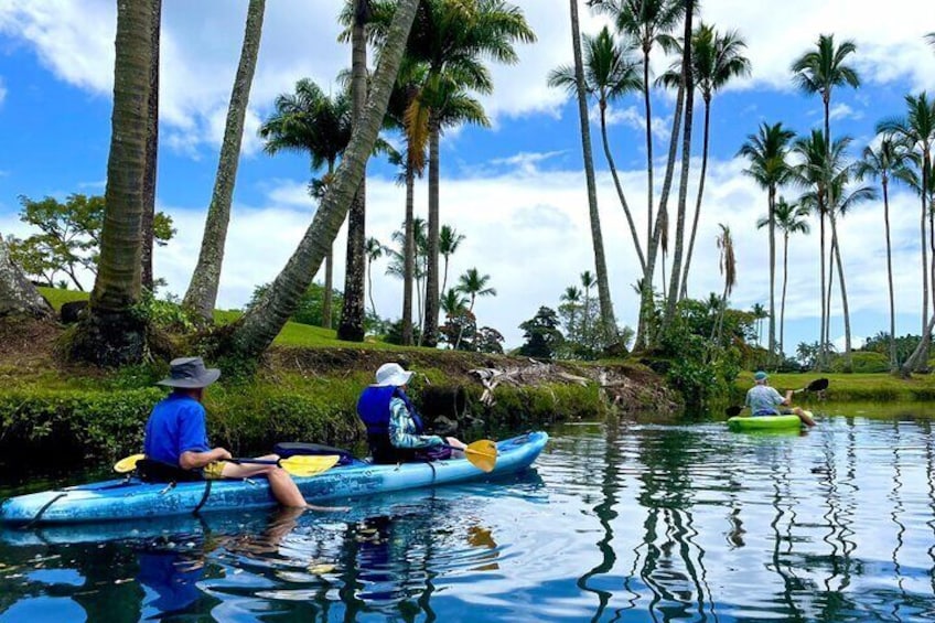 Wailoa River to King Kamehameha Statue Kayak Adventure