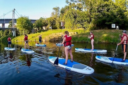 SUP BASIC COURSE Marbach am Neckar - Stand Up Paddling Paddling Adventure J...