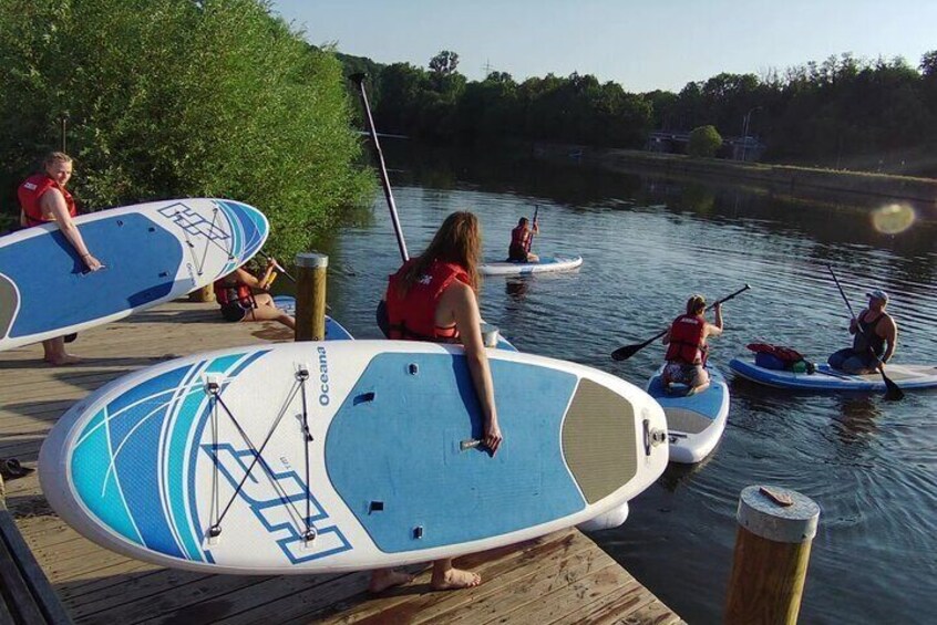 SUP basic course in Marbach am Neckar Landscape Park - Stand Up Paddling / Paddling