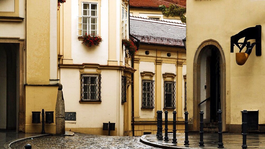 strolling through the city after the rain