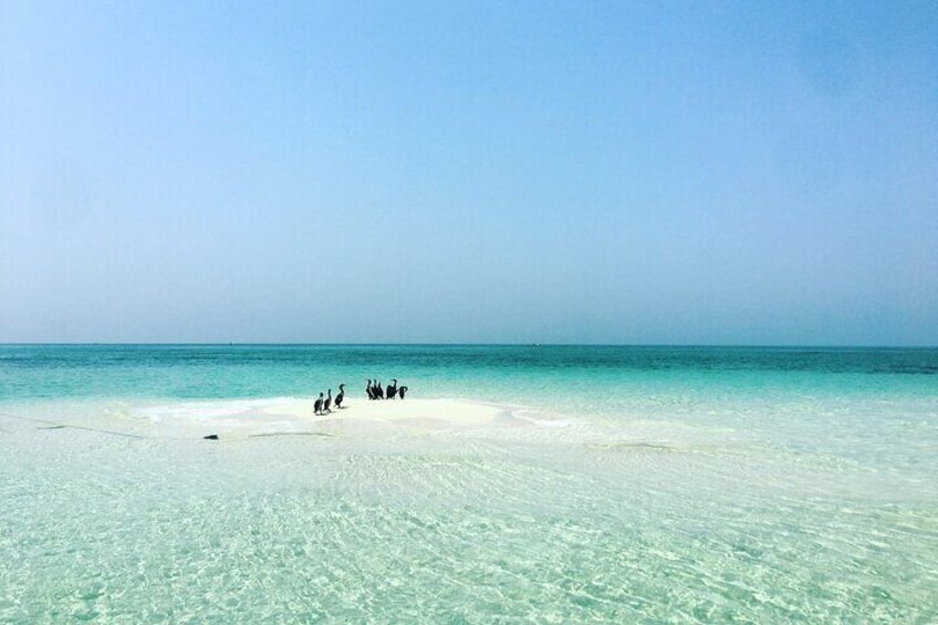 Ultimate Private Jarada Island Escape Tour from Muharraq