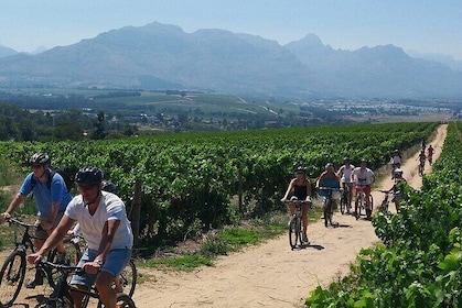 Wine Tasting with Bike Tour in Castiglione di Sicilia