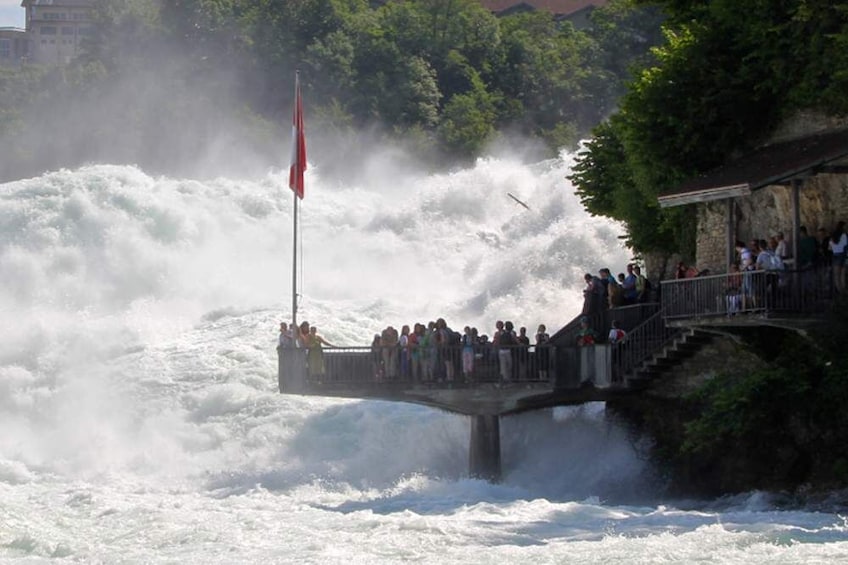 Rhine Falls & Stein am Rhein Tour with Laufen Castle Visit