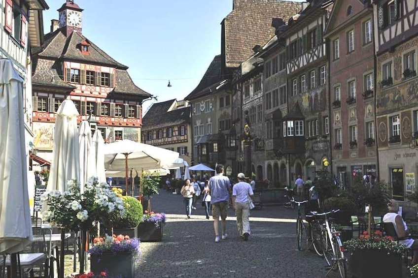 Rhine Falls & Stein am Rhein Tour with Laufen Castle Visit