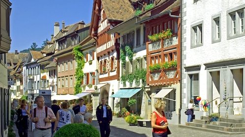 Chutes du Rhin et Stein am Rhein excursion