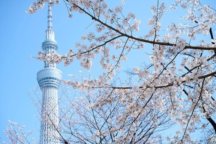 Tokyo Skytree Admission Ticket with Tembo Deck and Galleria