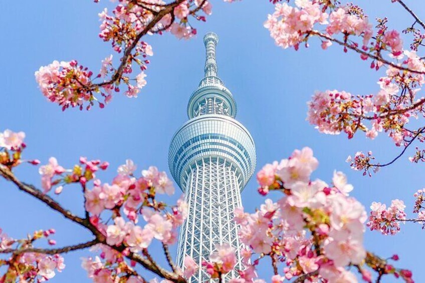Tokyo Skytree Admission Ticket with Tembo Deck and Galleria