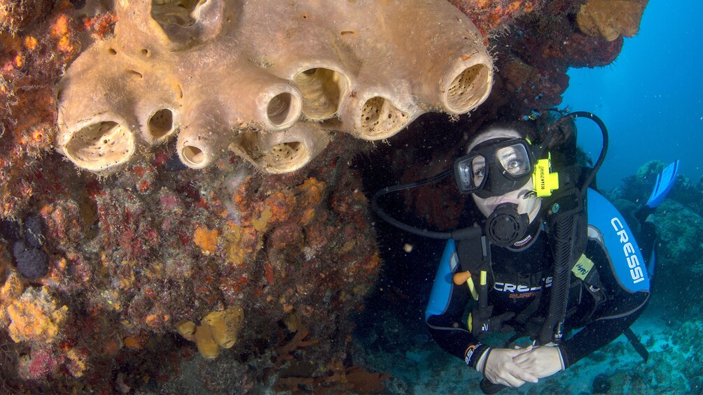 Woman on the MUSA Underwater Museum Diving tour in Cancun 