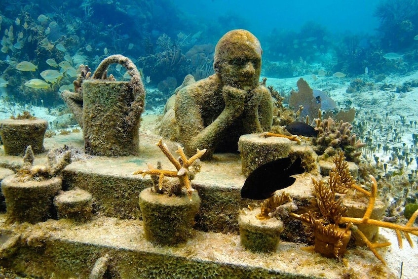 MUSA Underwater Museum Scuba Diving Lesson