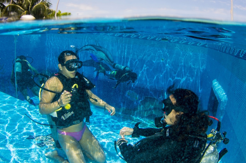 MUSA Underwater Museum Diving Lesson