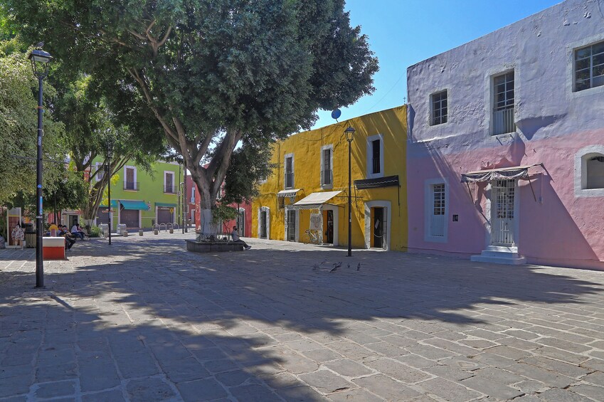 Turibus Hop-on Hop-off City Tour Puebla