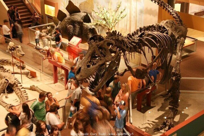 Two Smithsonian Museums: American & Natural History Private Tour