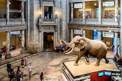 Två Smithsonian-museer: amerikansk och naturhistorisk privat rundtur