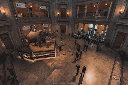 Twee Smithsonian-musea: privétour American & Natural History