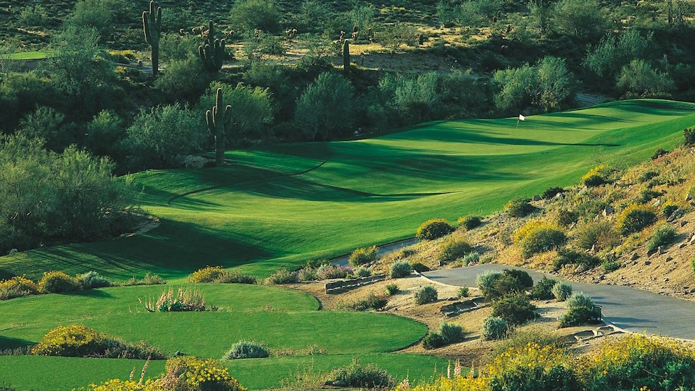 Landscape view of golf course with several trees shown in the distance.