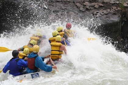 Lower Gauley Autumn Rafting Special in WV