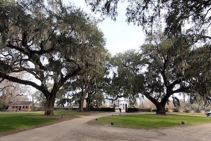 Dagsturer til Charleston Tour #7: Se INSIDE Ft Sumter, Carriage Tour, Lunsj...