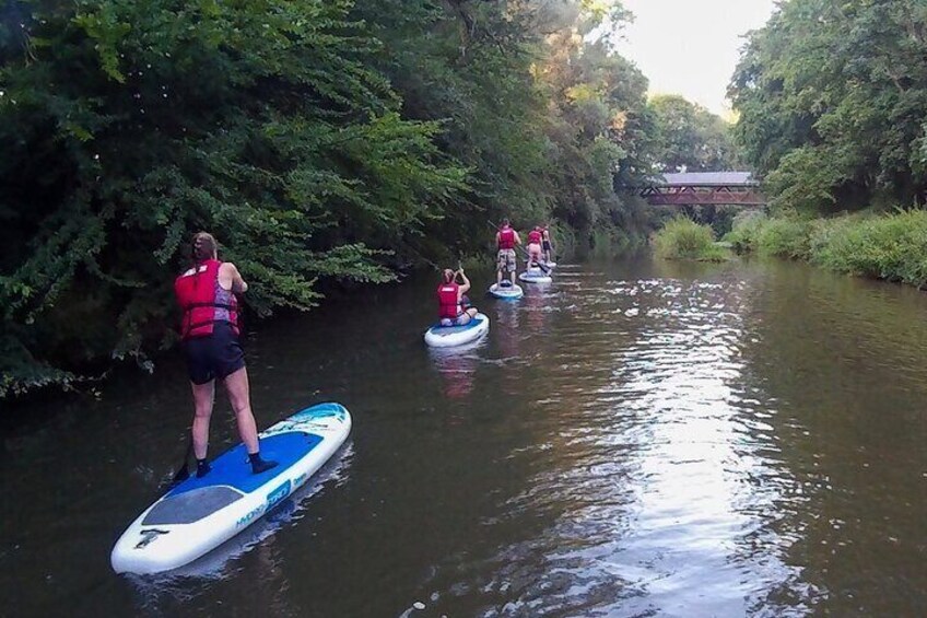 Sundowner SUP Tour Marbach Neckar Stand Up Paddling is like a vacation on the water