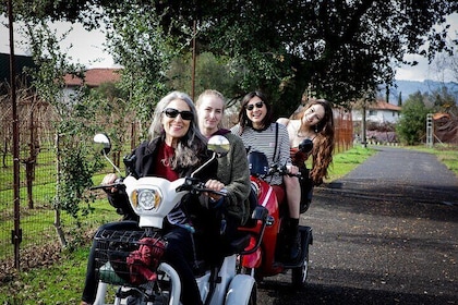 5-Hour Guided Wine Country Tour in Sonoma on an Electric Trike