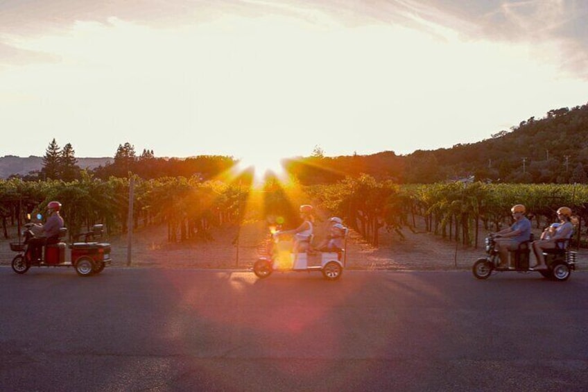 Sonoma Wine Country Electric Trike Tour - 5 hours