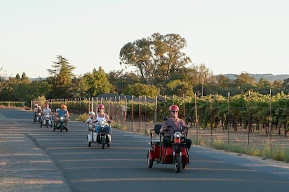 Sonoma Wine Country Electric Trike Tour - 5 hours