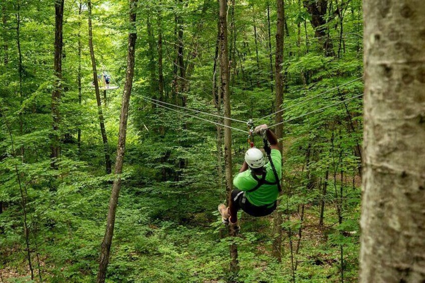 Superman Zipline Tour in Morningside