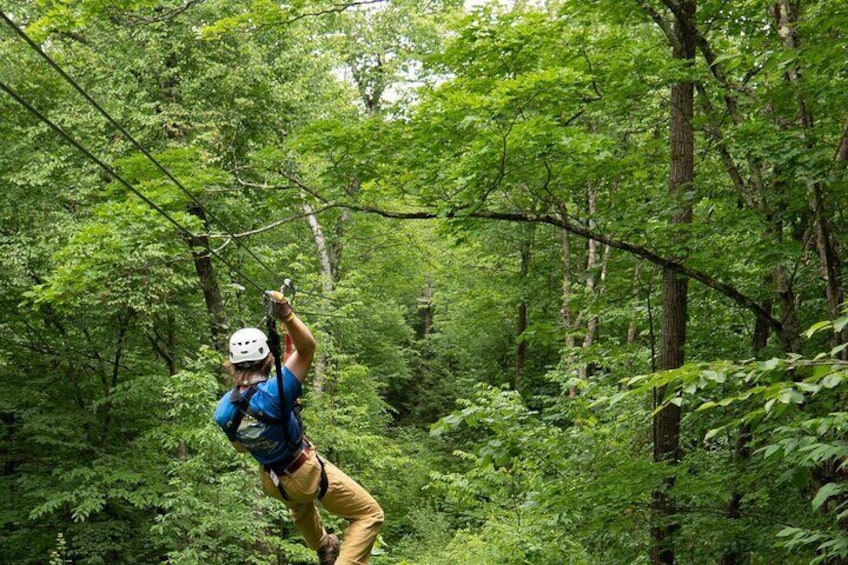 Superman Zipline Tour in Morningside