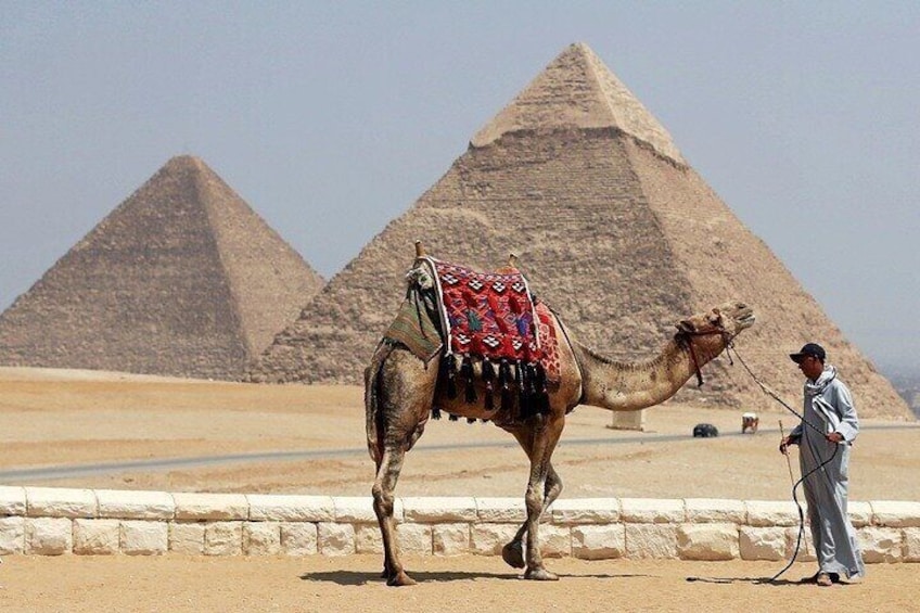 Private Day from Sharm to Cairo by plane, all entrance fees, Camel, Lunch, Guide