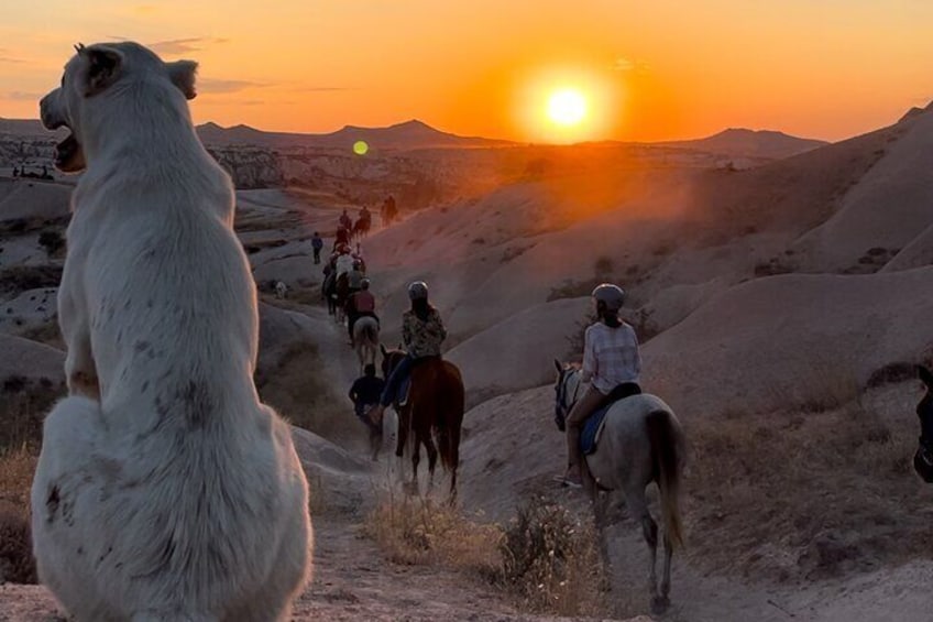 two hour horse tour cappadocia.(economic sunrise, sunset and any timeofthe day