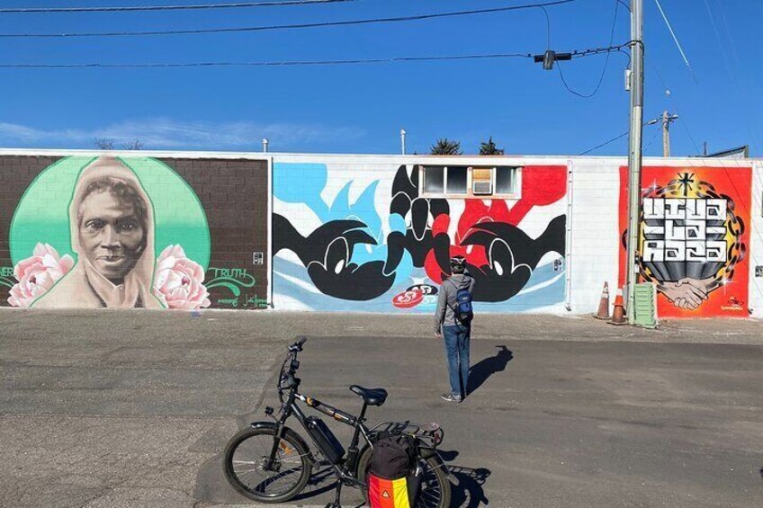 2 Hour Wall to Wall Boulder eBike Mural Ride