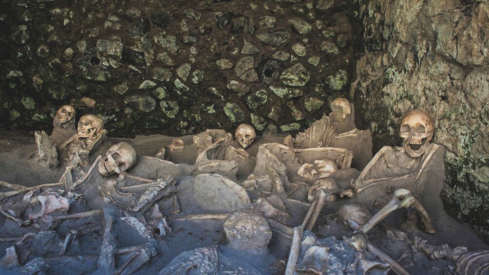 Apri foto 2 di 5. Several petrified human bones in Herculaneum.
