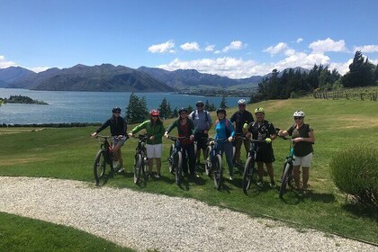 Private E-Bike Wine Tour in Wanaka