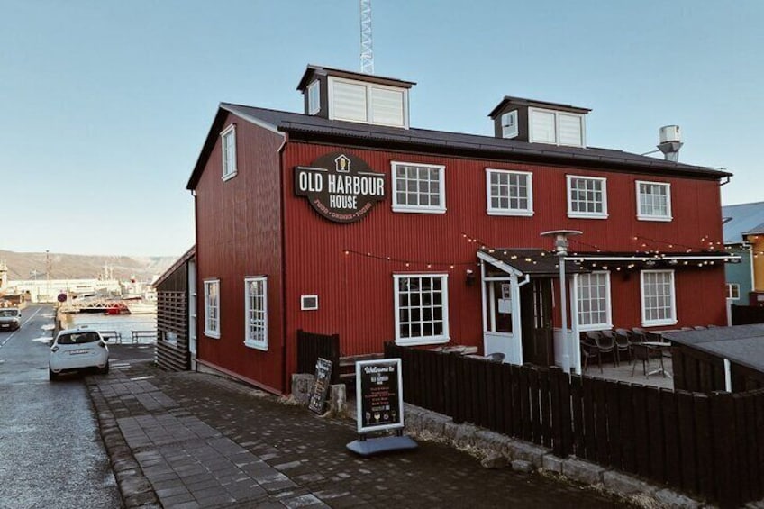 Whale Watching and Marine Life Tour in Reykjavik
