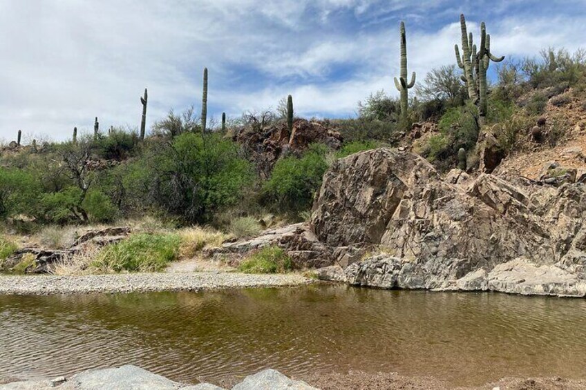 1.5 Hour Jewel of the Creek Guided Hiking Tour