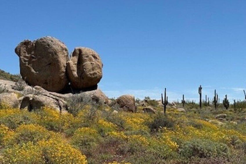 1-2 Hour Sonoran Desert Private Guided Hiking Tour