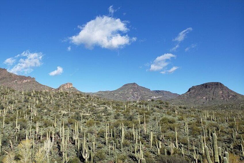 1.5 Hour Jewel of the Creek Guided Hiking Tour