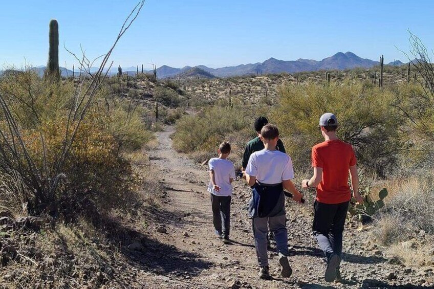 1.5 Hour Jewel of the Creek Guided Hiking Tour