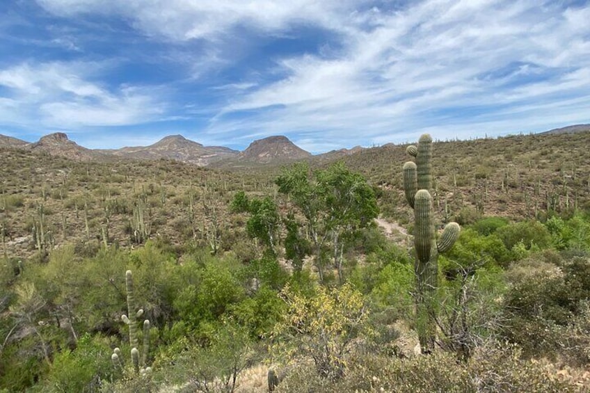 1.5 Hour Jewel of the Creek Guided Hiking Tour