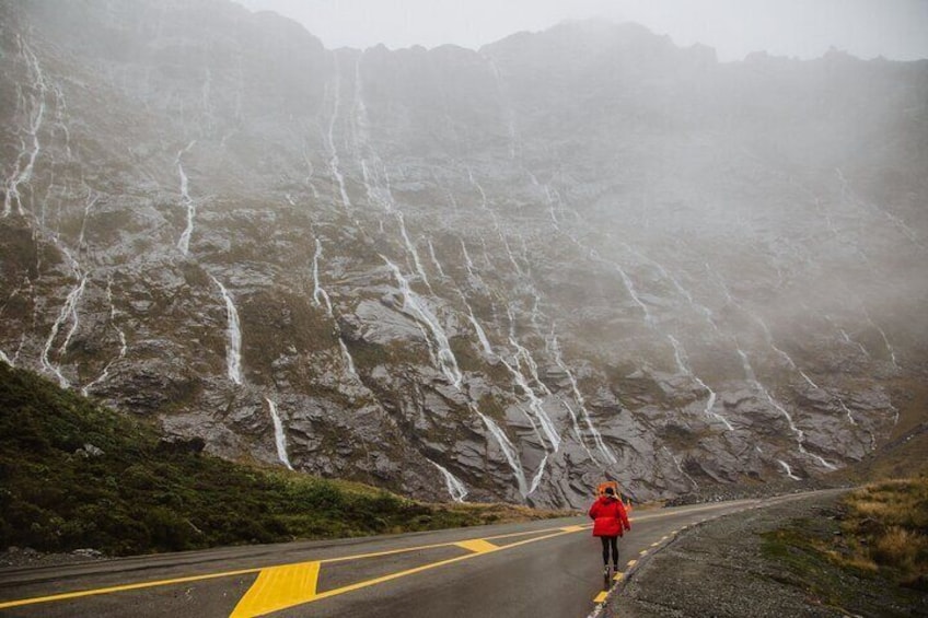 Guided Private Milford Sound Day Tour (Cruise Included)