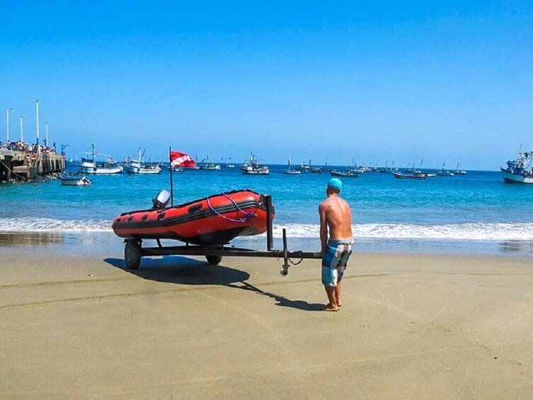 Marine Life Sighting and Snorkeling in Mancora