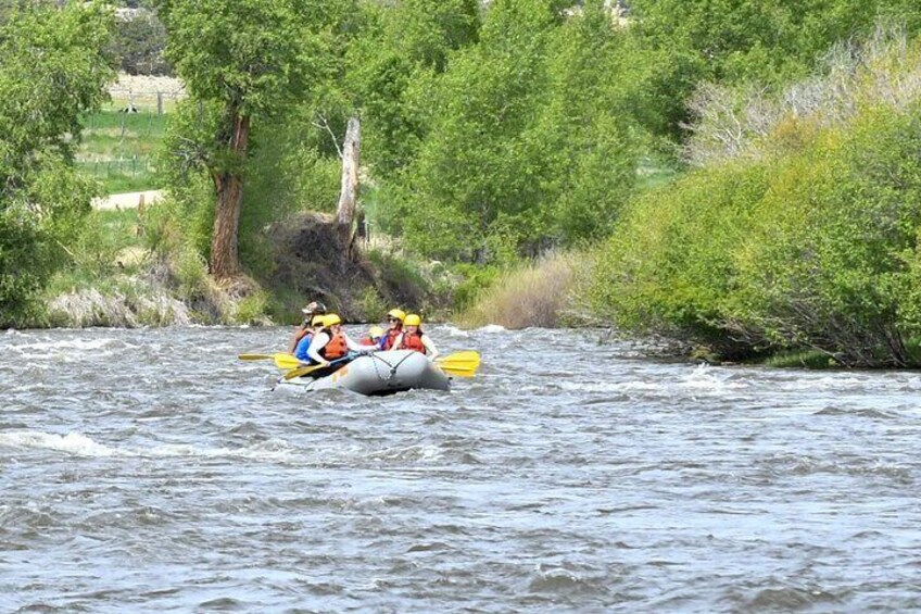 Salida Valley Rafting Adventure 