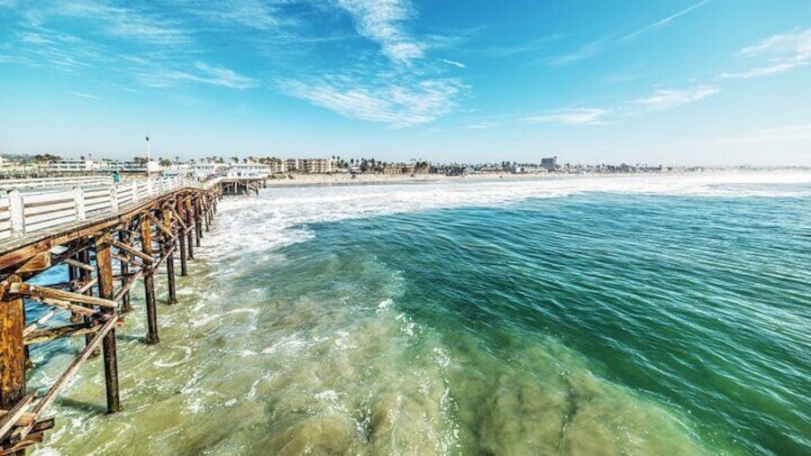 2 Hour San Diego Pier Fishing Experience