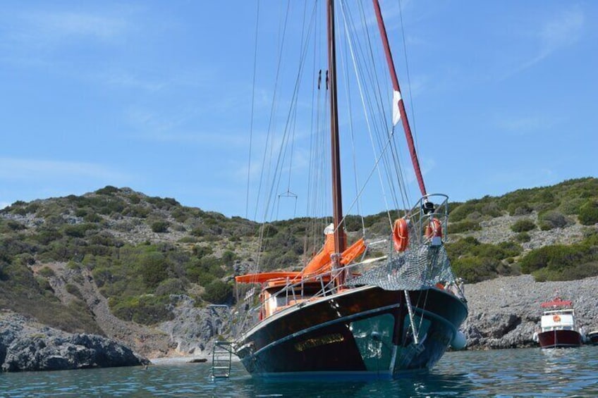 Boat View