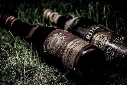 Mad og vinsmagning i Valpolicella