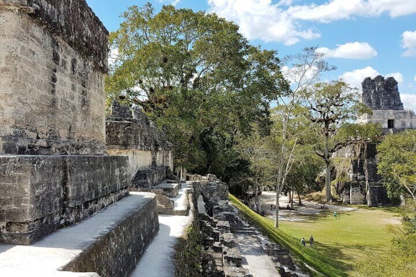 Tikal from Flores or Mundo Maya Airport with transportation, local guide and lunch