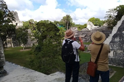 Tikal from Flores or Mundo Maya Airport with transportation, local guide an...