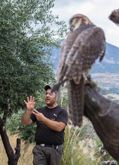 CIVITA EXPERIENCE Borgo Gole Mountain and ... RAPACI del Pollino