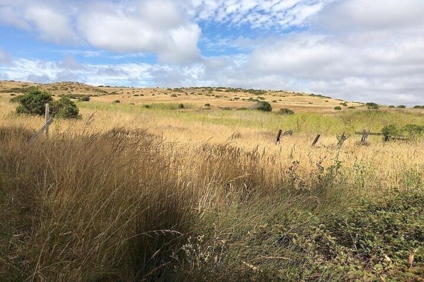 A Drive Through Time: A Ranching History of Point Reyes National Seashore