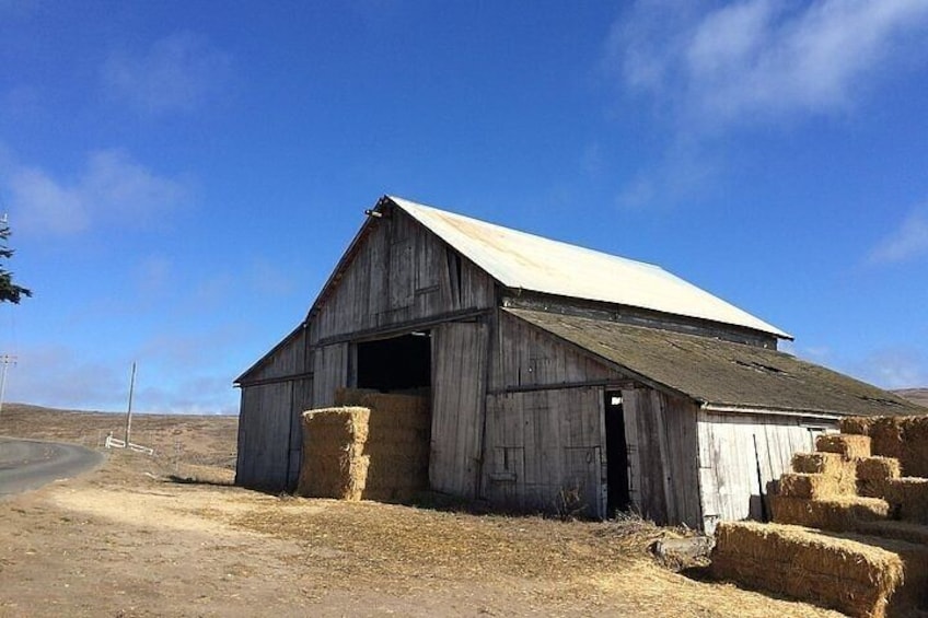 A Drive Through Time: A Ranching History of Point Reyes National Seashore