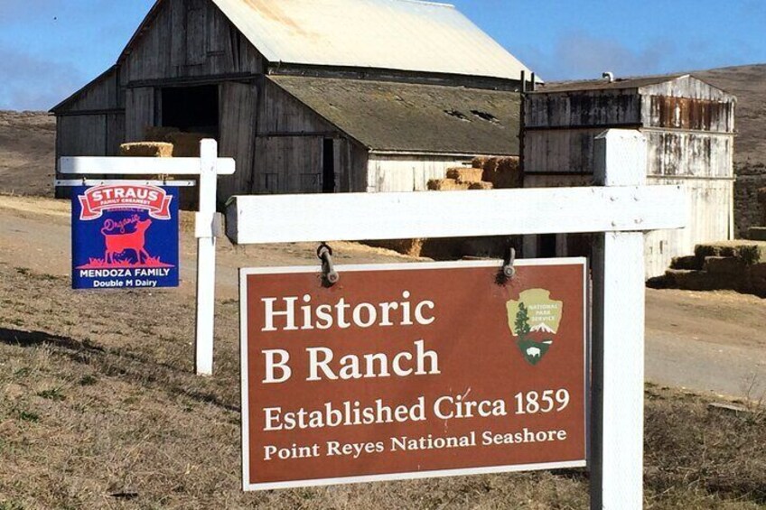 A Drive Through Time: A Ranching History of Point Reyes National Seashore